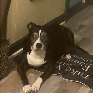 Meet your Posher, Lorayne